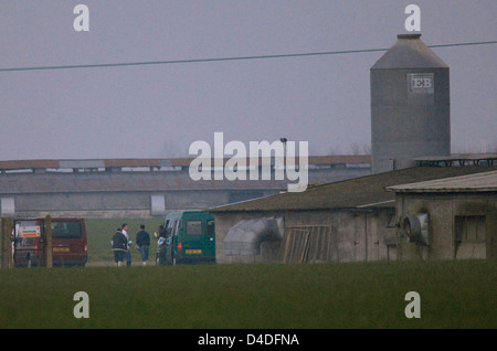 Der Ausbruch der Vogelgrippe Grippe H5N1 werkseitig Bernard Matthews Geflügel bei Holton nahe Halesworth Stockfoto