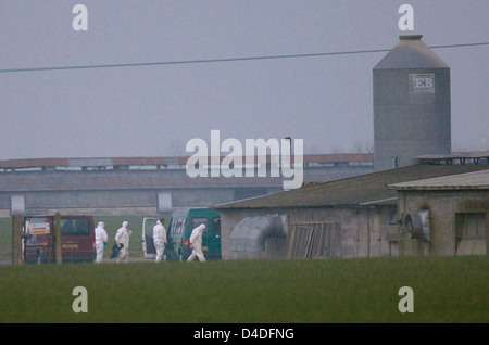 Der Ausbruch der Vogelgrippe Grippe H5N1 werkseitig Bernard Matthews Geflügel bei Holton nahe Halesworth Stockfoto