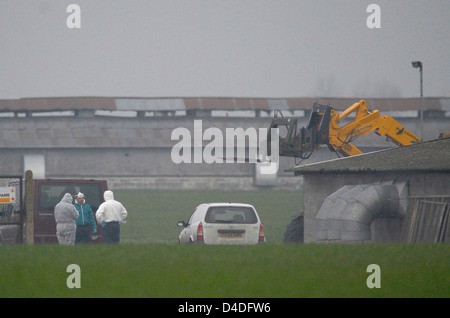 Der Ausbruch der Vogelgrippe Grippe H5N1 werkseitig Bernard Matthews Geflügel bei Holton nahe Halesworth Stockfoto