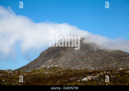 Cape Point, Landschaft und Vegetation - Western Cape - Südafrika Stockfoto