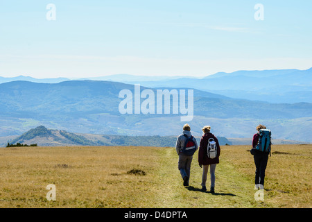 Wanderer, Abstieg vom Gipfel Pic de Finiels am Mont Lozère in den Cevennen, Lozère, Frankreich Stockfoto