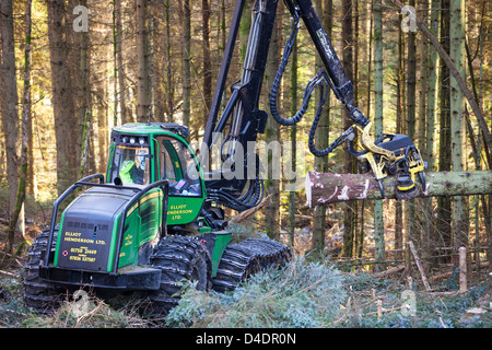 Ein Spediteur und Betreiber Holzfällen in Grizedale Forest, Lake District, UK, die Verwendung als Biokraftstoff bestimmt ist Stockfoto