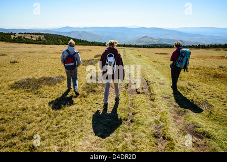 Wanderer, Abstieg vom Gipfel Pic de Finiels am Mont Lozère in den Cevennen, Lozère, Frankreich Stockfoto