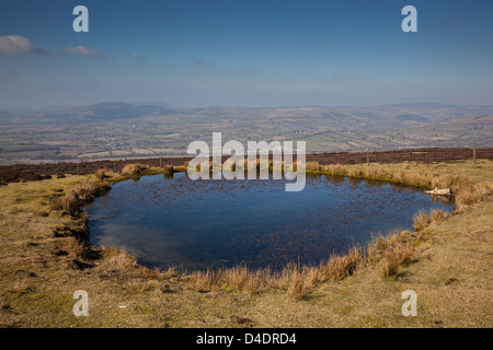 Einen Teich auf der Oberseite der Long Mynd, in der Nähe von Kirche Stretton, Shropshire, mit Blick auf Mid-Wales Stockfoto