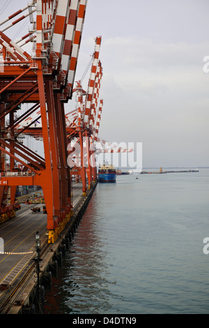 Sri Lanka Ports Authority, SLPA Colombo, Sri Lanka Colombo Port Authority Container Terminal, Portalkrane, Schiffe entladen-Boxen Stockfoto
