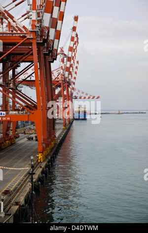 Sri Lanka Ports Authority, SLPA Colombo, Sri Lanka Colombo Port Authority Container Terminal, Portalkrane, Schiffe entladen-Boxen Stockfoto