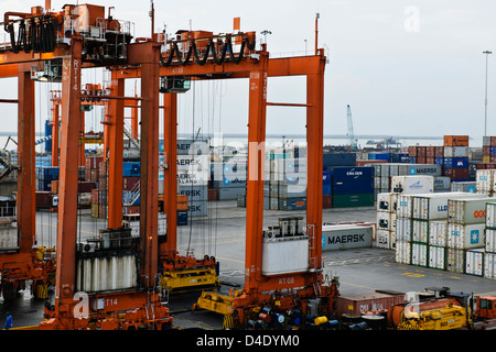 Sri Lanka Ports Authority, SLPA Colombo, Sri Lanka Colombo Port Authority Container Terminal, Portalkrane, Schiffe entladen-Boxen Stockfoto
