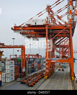 Sri Lanka Ports Authority, SLPA Colombo, Sri Lanka Colombo Port Authority Container Terminal, Portalkrane, Schiffe entladen-Boxen Stockfoto