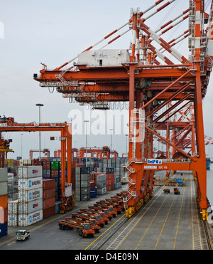 Sri Lanka Ports Authority, SLPA Colombo, Sri Lanka Colombo Port Authority Container Terminal, Portalkrane, Schiffe entladen-Boxen Stockfoto