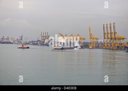 Sri Lanka Ports Authority, SLPA Colombo, Sri Lanka Colombo Port Authority Container Terminal, Portalkrane, Schiffe entladen-Boxen Stockfoto
