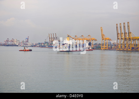 Sri Lanka Ports Authority, SLPA Colombo, Sri Lanka Colombo Port Authority Container Terminal, Portalkrane, Schiffe entladen-Boxen Stockfoto