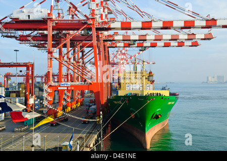 Sri Lanka Ports Authority, SLPA Colombo, Sri Lanka Colombo Port Authority Container Terminal, Portalkrane, Schiffe entladen-Boxen Stockfoto