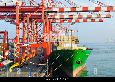 Sri Lanka Ports Authority, SLPA Colombo, Sri Lanka Colombo Port Authority Container Terminal, Portalkrane, Schiffe entladen-Boxen Stockfoto