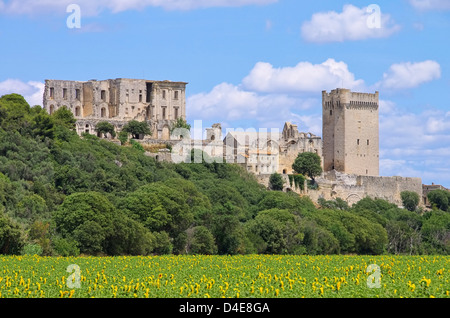 Abbaye de Montmajour 07 Stockfoto