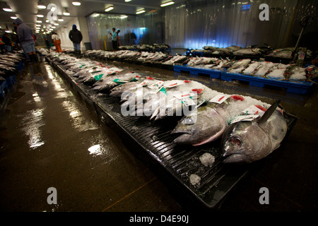 Die Honolulu Fisch-Auktion und Markt am Pier 38 Stockfoto