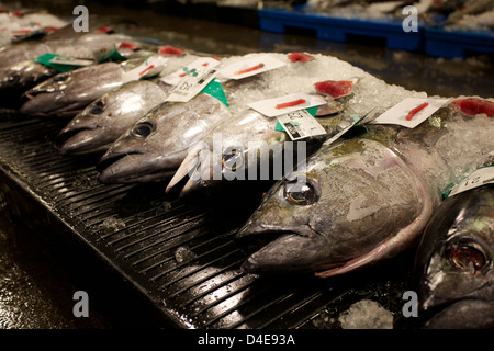 Die Honolulu Fisch-Auktion und Markt am Pier 38 Stockfoto