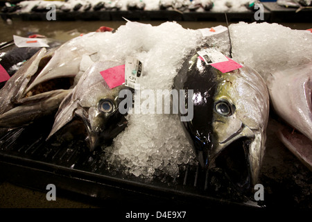 Die Honolulu Fisch-Auktion und Markt am Pier 38 Stockfoto