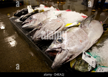 Die Honolulu Fisch-Auktion und Markt am Pier 38 Stockfoto