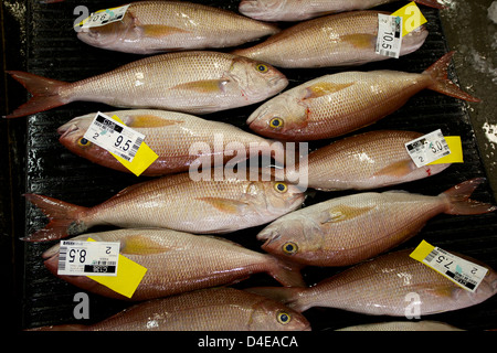 Die Honolulu Fisch-Auktion und Markt am Pier 38 Stockfoto