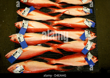 Die Honolulu Fisch-Auktion und Markt am Pier 38 Stockfoto