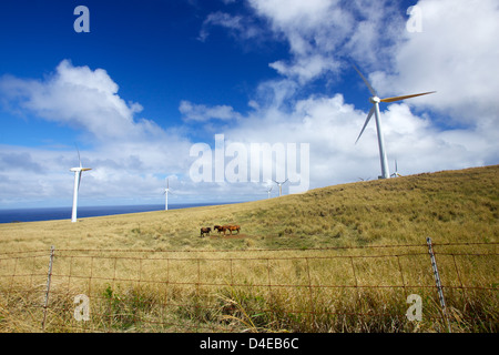 Hawaii-Windpark - Windenergieanlagen in der Stadt von Hawi in den großen Inseln North Kohala District Stockfoto