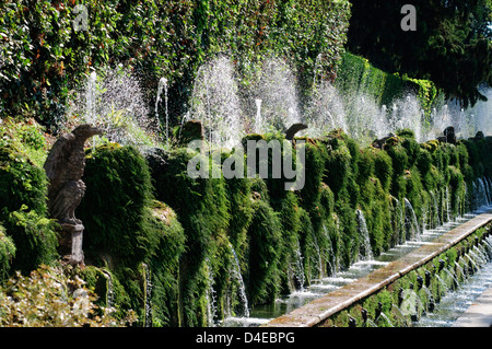 Italien, Latium, Tivoli, Villa d ' Este, Viale Cento Fontane, ein hundert Brunnen Stockfoto