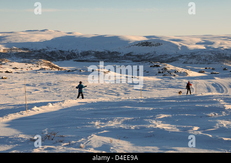 Richtung zurück Ustaoset in die tiefstehende Sonne am Nachmittag nach einem langen Tag Langlaufen in die Hardangervidda-Bergen Stockfoto