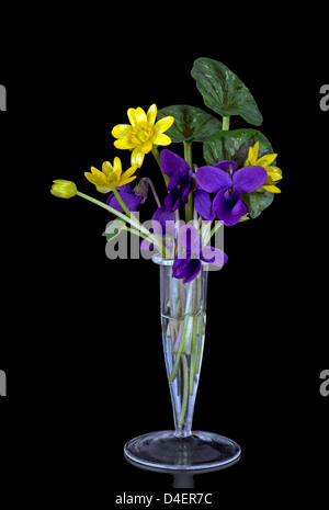 Vase mit winzigen Wildblumen Stockfoto
