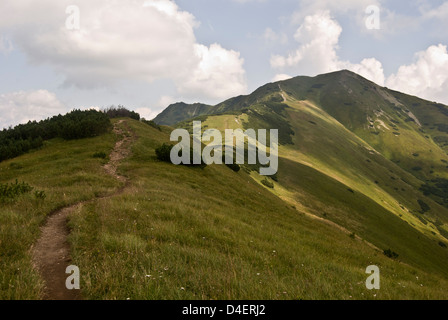 Alpenhauptkamms krivanska Mala Fatra mountain radge mit Wanderweg, Bergwiese, stratenec, Maly krivan und anderen Hügeln in der Slowakei Stockfoto