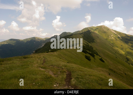 Krivanska Mala Fatra Gebirge mit stratenec, Maly krivan und anderen Hügeln von priehyb Pass in der Slowakei im Sommer Wandern Stockfoto