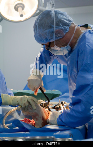 orthopädische Chirurgie in MSF Krankenhaus Port-au-Prince Haiti Stockfoto