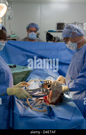 orthopädische Chirurgie in MSF Krankenhaus Port-au-Prince Haiti Stockfoto