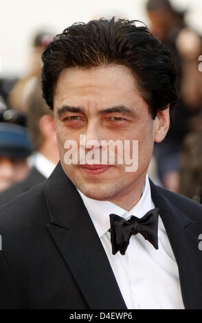 Schauspieler Benicio del Toro kommt bei der Premiere des Films "Che" läuft im Wettbewerb bei den 61. Filmfestspielen in Cannes, Frankreich, 21. Mai 2008. Foto: Hubert Boesl Stockfoto