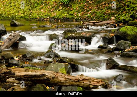 Rocky River in ländlichen Landschaft Stockfoto