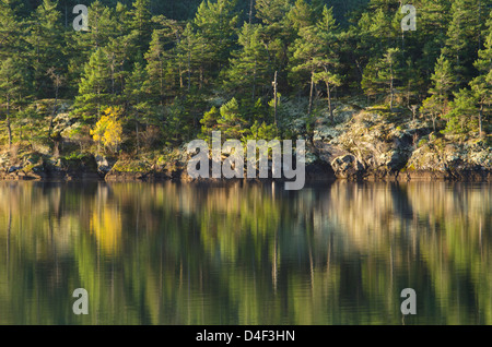 Kulturlandschaft im noch See widerspiegelt Stockfoto