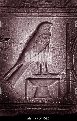 Horus im Karnak-Tempel Stockfoto