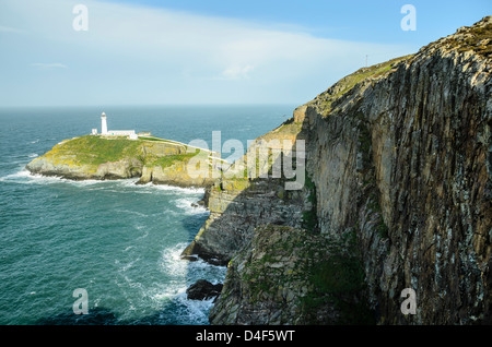 Gogarth Bucht, unterhalb Holyhead Mountain, Anglesey, Wales, Blick in Richtung Norden Stack Leuchtturm Stockfoto