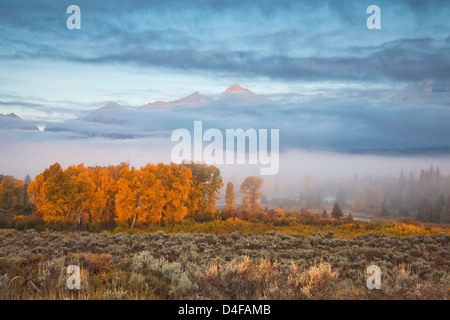 Nebel über der Landschaft im ländlichen Raum Stockfoto