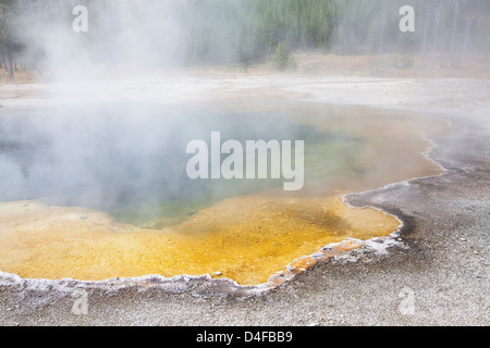 Dampf steigt aus natürlichen pool Stockfoto