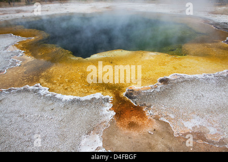 Dampf steigt aus natürlichen pool Stockfoto