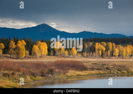 Herbstliche Bäume in ländlichen Landschaft Stockfoto