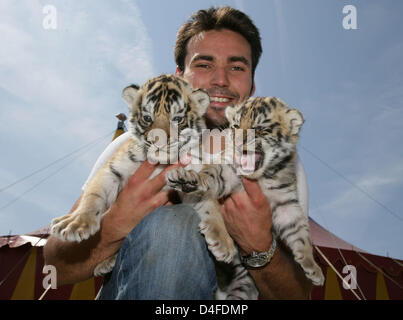 21 Jahre alte Tier tamer Dominique Fischer posiert mit zwei Neugeborene Tigerbabys vor einem Zelt "Zirkus Althoff" in Cuxhaven, Deutschland, 1. Juli 2008. Sechs-jährige Tiger "Rane" gebar die zwei weibliche Tiger Cubs vor drei Tagen. Foto: INGO WAGNER Stockfoto