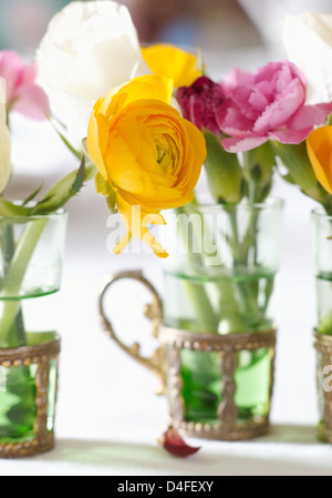 Schließen Sie oben Blume Trauben in Gläsern Stockfoto