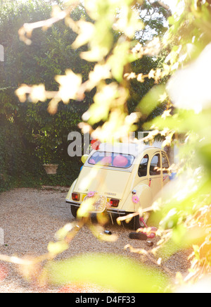 Gelbes Auto verdeckt durch Blätter Stockfoto