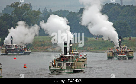 Traditionelle Schiffe der "sächsischen Dampfschifffahrt" Reiten in Formation während der Dampfboot-Parade auf Elbe in Dresden, Deutschland, 16. August 2008. Die Parade nach Pillnitz und zurück ist die Hauptattraktion des 10. Stadtfest Dresdens 802 Geburtstag der Stadt Dresden. Foto: RALF HIRSCHBERGER Stockfoto