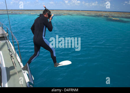 (Datei) - die Datei Bild vom 31. August 2004 zeigt Schnorchler, wie er in das Wasser am Great Barrier Reef vor der australischen Küste bei Ebbe in Australien springt. Foto: Sebastian Widmann Stockfoto