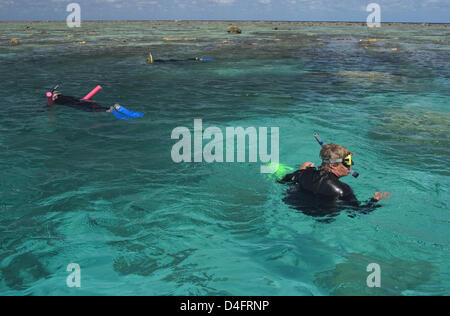 (Datei) - die Datei Bild vom 31. August 2004 zwei Touristen zeigt, wie sie am Great Barrier Reef vor der australischen Küste bei Ebbe in Australien Schnorcheln. Foto: Sebastian Widmann Stockfoto