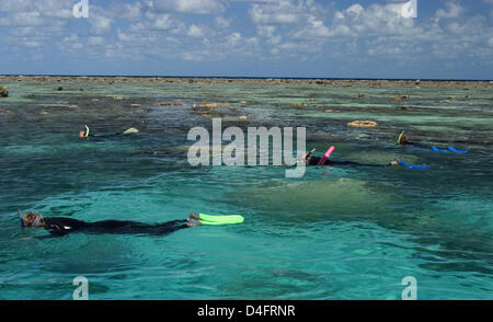 (Datei) - die Datei Bild vom 31. August 2004 Touristen zeigt, wie sie am Great Barrier Reef vor der australischen Küste bei Ebbe in Australien Schnorcheln. Foto: Sebastian Widmann Stockfoto