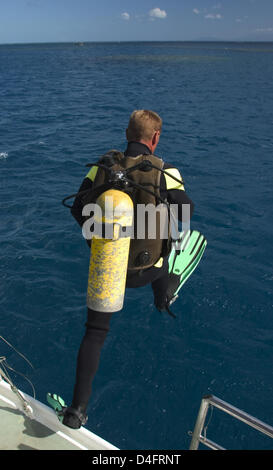 (Datei) - die Datei Bild vom 31. August 2004 zeigt Schnorchler, wie er ins Wasser vor der australischen Küste bei Ebbe in Australien springt. Foto: Sebastian Widmann Stockfoto