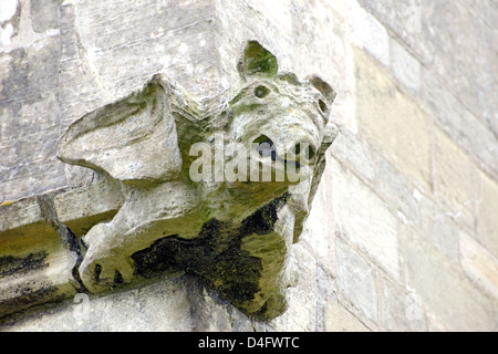 Groteske Steinkopf an der Wand der Muttergottes und St Peter Church, Bothamsall, Nottinghamshire Stockfoto